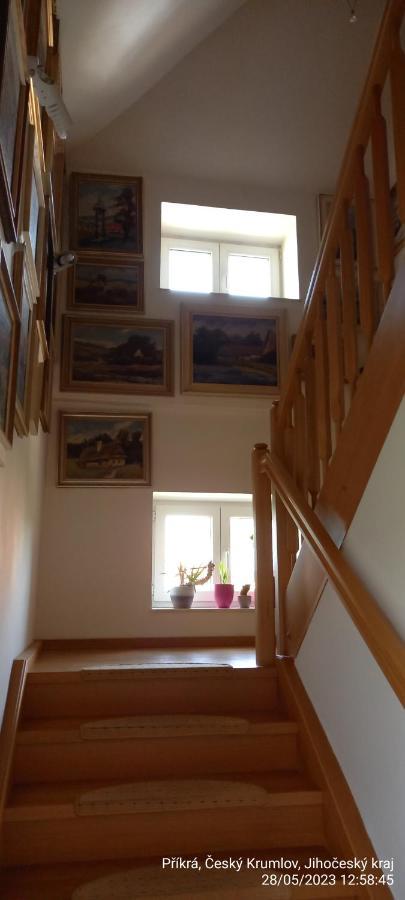 Ferienwohnung Vila Hesha Český Krumlov Exterior foto